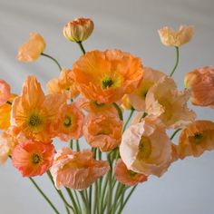 an arrangement of orange and white flowers in a vase