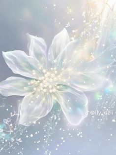 a white flower on a blue background with bubbles