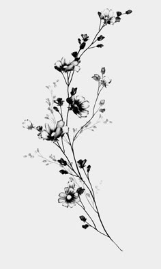 a black and white photo of flowers on a branch