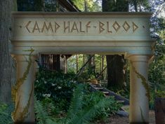 a sign that says camp half blood in front of some trees and bushes with ferns