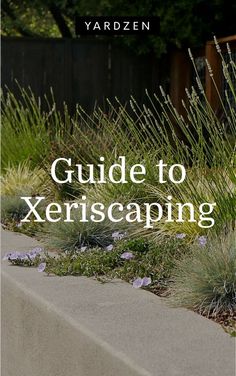 the front cover of a garden guide to xeriscaping by yarbzen