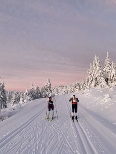 two people cross country skiing on a snow covered trail in the woods at sunset or dawn