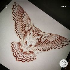 a drawing of a bird with wings on it's back