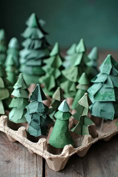 small green trees in an egg carton on a wooden table with other ornaments around them