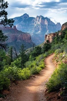 a dirt path in the mountains with trees and bushes on both sides, leading to a mountain range