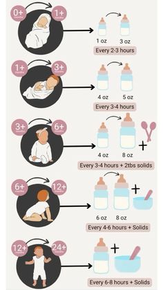 the baby's birth schedule is shown in this info sheet, with instructions for how to