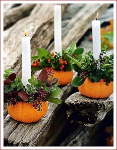 three pumpkins with plants in them sitting on a wooden table next to two candles