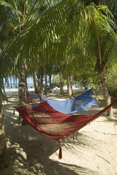 a hammock hanging between two palm trees on the beach