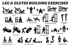 an image of gym equipment and exercises