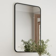 a mirror hanging on the wall next to a plant