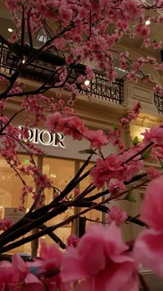 pink flowers are blooming in front of a storefront with the word dior written on it