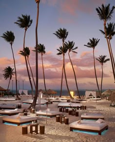 the beach is lined with lounge chairs and palm trees as the sun sets over the ocean