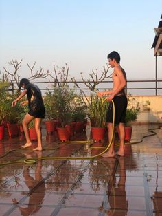 two men are watering plants on the roof