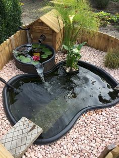 an outdoor pond with water and plants in it