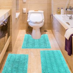 the bathroom is clean and ready for us to use in its new home, with blue rugs on the floor