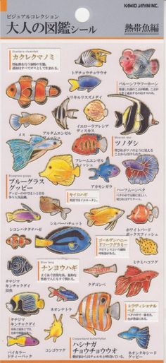 a poster with different types of fish in english and japanese writing on the front of it