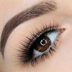 Lashes and Brows on point Eye Brow Makeup, Lashes And Brows, Clear Brow Gel, House Of Lashes, Beautiful Eyelashes, Anastasia Brow, Brow Lift, Brow Lash, Anastasia Beverly Hills Makeup