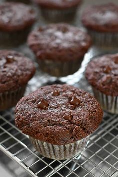 chocolate muffins cooling on a wire rack