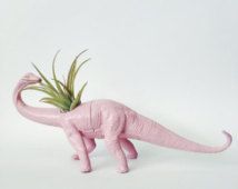 a pink dinosaur planter with an air plant in it's mouth, on a white background