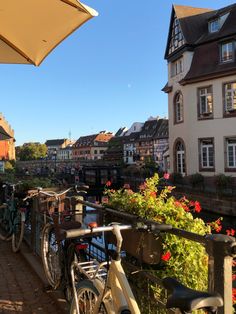 there are many bicycles parked on the side of the street next to houses and flowers