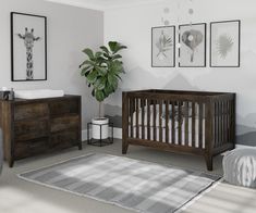 a baby's room with two cribs, a dresser and a plant