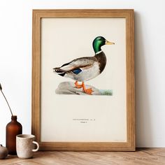 a duck sitting on top of a rock in front of a vase and framed photograph