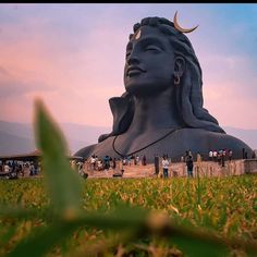 there is a large buddha statue in the grass