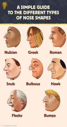 Nose Size Chart, How To Draw Different Types Of Noses, Facial Features Of Different Races, Different Type Of Noses, Nose Types Chart, Eye Types Shapes, Nubian Nose Shape, Eyes Different Shapes, Different Noses Reference