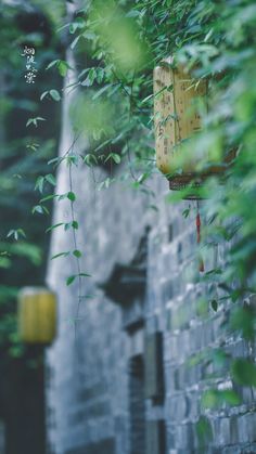 an old chinese lantern hanging from the side of a building with vines growing on it