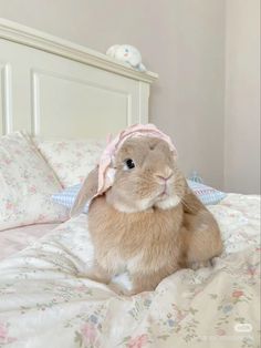 a small rabbit sitting on top of a bed