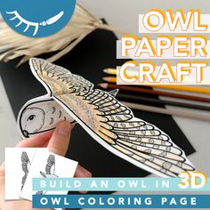 the owl paper craft is being held up