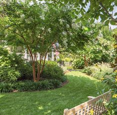 a wooden bench sitting in the middle of a lush green yard