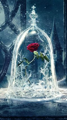 a red rose in a glass bell jar with snow flakes on the ground and trees behind it