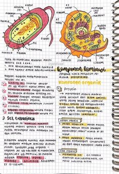 an open notebook containing information about food and its functions in the human body, with text on it