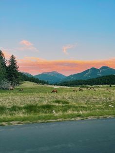 Mountains, wildlife, sunset, summer Estes Park, Colorado spring sunset, summer sunset, travel, elk, deer, nature Colorado Aesthetic, Colorado Summer, Estes Park Colorado, Sunset Summer, Estes Park, Pretty Sky, On The Road Again, Summer Dream