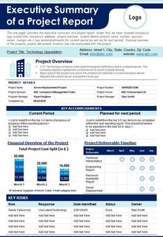 the executive project report is shown in blue and white, as well as an info sheet