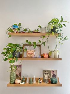 three wooden shelves with plants and pictures on them