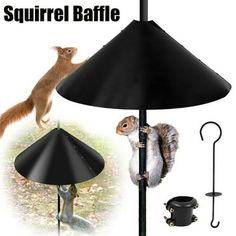 the squirrel is standing on top of the lamp