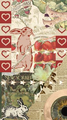 the collage is made up of many different images and words, including an image of a rabbit