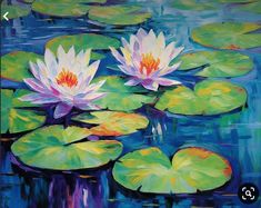 two white water lilies are floating in the pond with lily pads on blue water