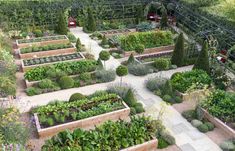 an aerial view of a garden with many different types of plants and trees in it