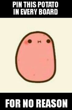 an image of a pink potato saying pin this potato in every board for no reason