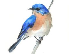 a watercolor painting of a blue bird sitting on a branch