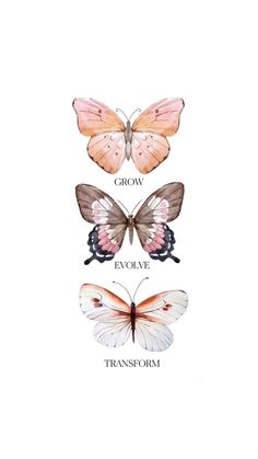 four different butterflies with the words grow, overcome and transform written in white letters on them