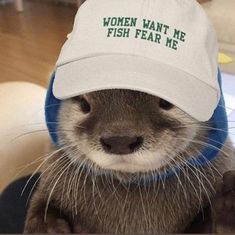 an otter wearing a hat with the words women want me fish fear me on it