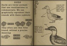 an open book with pictures of ducks and other animals in it's title page