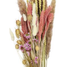 dried flowers and grasses in a vase on a white background