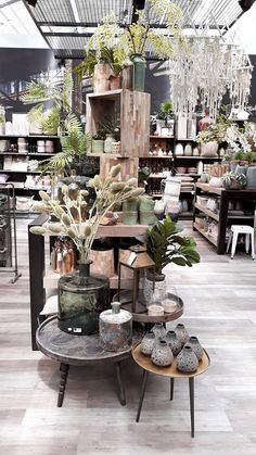 a room filled with lots of potted plants on top of wooden tables next to each other