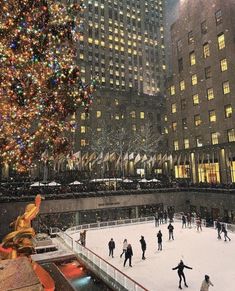 people skating on an ice rink in front of a christmas tree