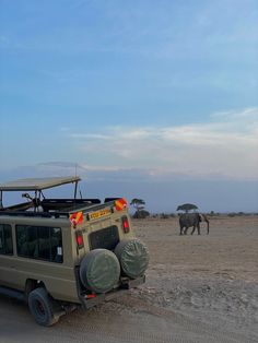 an suv is parked in the desert near elephants